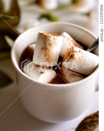 ココアとマシュマロのトッピング 122395866