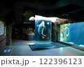旭山動物園あざらし館円柱水槽 122396123