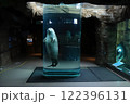 旭山動物園あざらし館円柱水槽 122396131