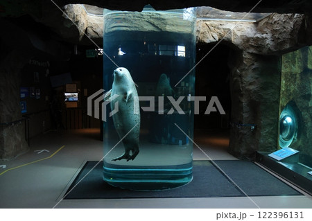 旭山動物園あざらし館円柱水槽 122396131