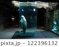 旭山動物園あざらし館円柱水槽 122396132