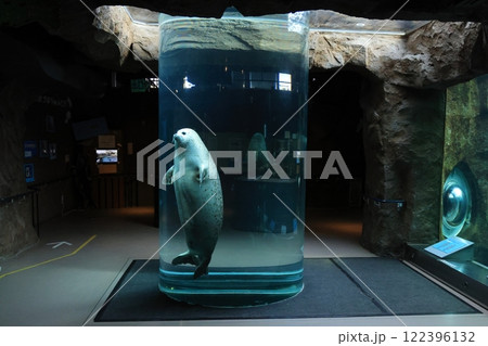 旭山動物園あざらし館円柱水槽 旭山動物園あざらし館円柱水槽 122396132