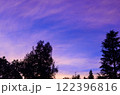 樹木のシルエットとグラデーションの空 122396816