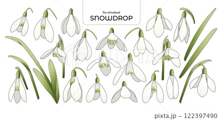 Set of isolated Snowdrop. Cute flower illustration in hand drawn style. White and green color tones on a transparent background. Set of isolated Snowdrop. Cute flower illustration in hand drawn style. White and green color tones on a transparent background. 122397490