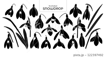 Set of isolated Snowdrop. Cute flower illustration in hand drawn style. Black silhouette on a transparent background. Set of isolated Snowdrop. Cute flower illustration in hand drawn style. Black silhouette on a transparent background. 122397492