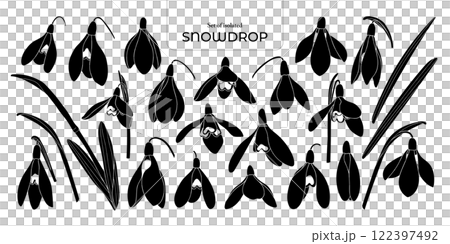 Set of isolated Snowdrop. Cute flower illustration in hand drawn style. Black silhouette on a transparent background. Set of isolated Snowdrop. Cute flower illustration in hand drawn style. Black silhouette on a transparent background. 122397492