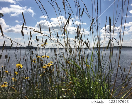 A Beautiful and Tranquil Lakeside View Surrounded by Wildflowers and Vibrant Grasses A Beautiful and Tranquil Lakeside View Surrounded by Wildflowers and Vibrant Grasses 122397698