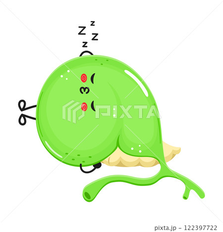 Gallbladder sleeping character. Vector hand drawn cartoon kawaii character illustration icon. Isolated on white background. Gallbladder sleep character concept Gallbladder sleeping character. Vector hand drawn cartoon kawaii character illustration icon. Isolated on white background. Gallbladder sleep character concept 122397722