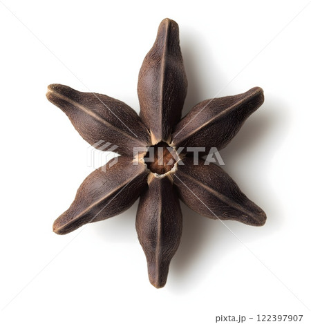Star Anise Pod 122397907