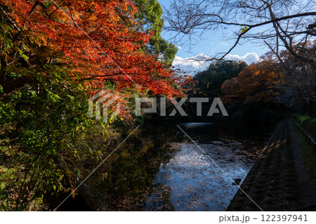 散在ガ池森林公園 122397941