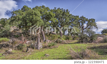 Protected Landscape Monte Valcorchero y Sierra del Gordo, Caceres, Spain 122398471