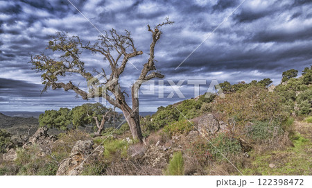 Protected Landscape Monte Valcorchero y Sierra del Gordo, Caceres, Spain 122398472