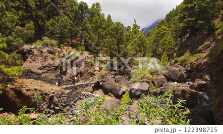 Ravine of Risco Liso, Caldera de Taburiente National Park, Spain Ravine of Risco Liso, Caldera de Taburiente National Park, Spain 122398715