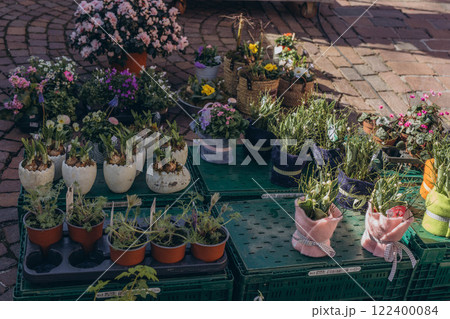 A spring market with rows of seedlings and flowers for the garden, offering vibrant plants for sale 122400084