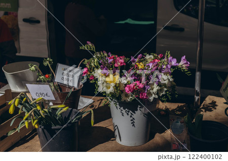 A spring market with rows of seedlings and flowers for the garden, offering vibrant plants for sale A spring market with rows of seedlings and flowers for the garden, offering vibrant plants for sale 122400102