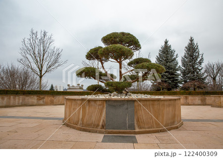 Decorative trees in the Palace of Culture garden. Iasi, Romania. Decorative trees in the Palace of Culture garden. Iasi, Romania. 122400309