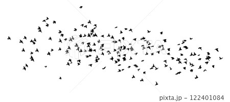 Flying birds silhouette flock. hand drawing. Not AI. Vector illustration 122401084
