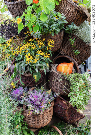 Baskets with flowers, cabbage and pumpkin in the autumn garden 122402073