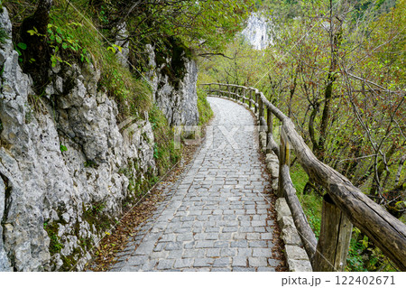 Paved hiking trail with wooden railings in a picturesque nature park, perspective view 122402671