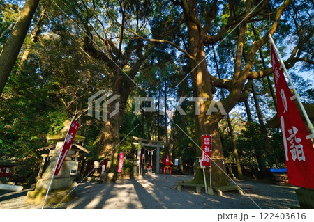 都城市 東霧島神社 2025 都城市 東霧島神社 2025 122403616