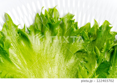 Fresh Green Lettuce Leaf Isolated on White Background for Healthy Eating and Cooking Ideas Fresh Green Lettuce Leaf Isolated on White Background for Healthy Eating and Cooking Ideas 122403702