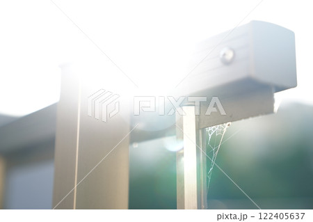 蜘蛛の巣  蜘蛛の巣  122405637