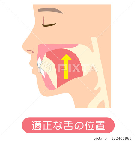 適正な舌の位置　ミューイング 122405969