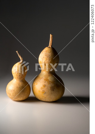 瓢箪 ひょうたん ヒョウタンの写真 瓢箪 ひょうたん ヒョウタンの写真 122406073