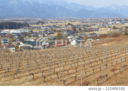 冬のワイン用ブドウ畑 日本アルプスワインバレー 冬のワイン用ブドウ畑 日本アルプスワインバレー 122406188