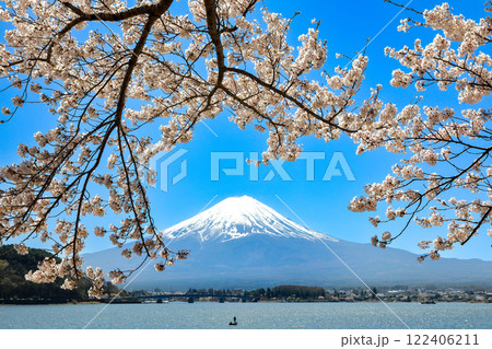 満開桜の河口湖畔から望む富士山　山梨県河口湖町 122406211