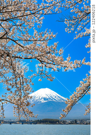 満開桜の河口湖畔から望む富士山　山梨県河口湖町 122406218