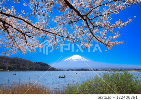 満開桜の河口湖畔から望む富士山　山梨県河口湖町 122406861