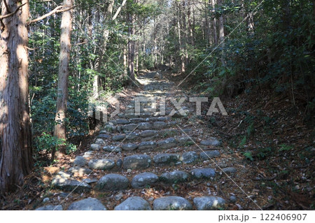 権現山登山道 122406907