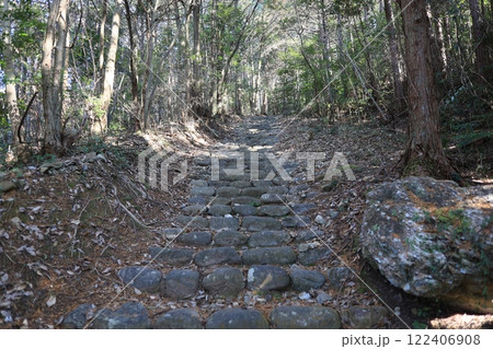 権現山登山道 権現山登山道 122406908