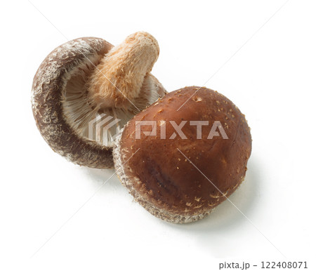 　生椎茸 122408071
