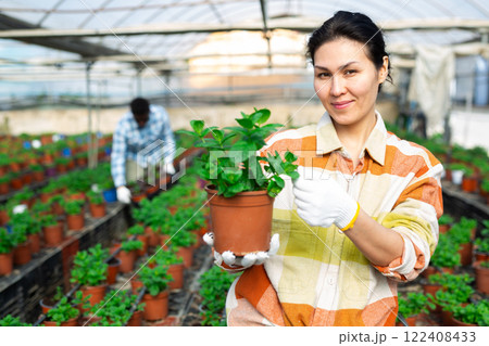 Smiling Asian female farmer growing potted mint in glasshouse 122408433
