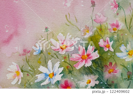 コスモス 水彩画 のイラスト素材 [122409602] - PIXTA