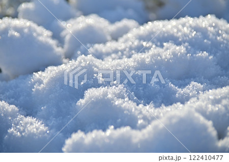 生け垣を覆う初雪 122410477