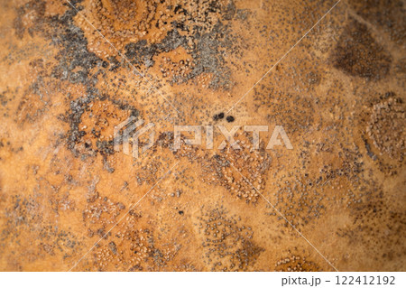 乾燥した瓢箪の表面 122412192