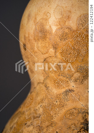 乾燥した瓢箪の表面 122412194