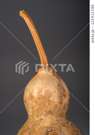 瓢箪 ひょうたん ヒョウタンの写真 122412198