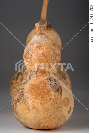 瓢箪 ひょうたん ヒョウタンの写真 瓢箪 ひょうたん ヒョウタンの写真 122412202