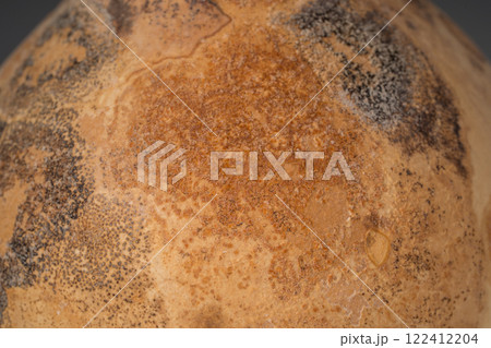 乾燥した瓢箪の表面 122412204