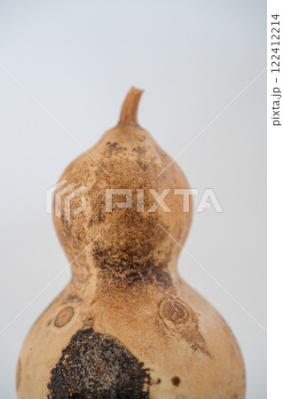 瓢箪 ひょうたん ヒョウタンの写真 122412214