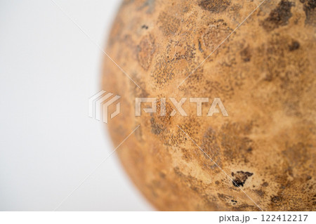 乾燥した瓢箪の表面 乾燥した瓢箪の表面 122412217