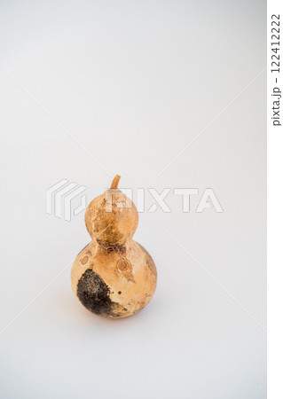 瓢箪 ひょうたん ヒョウタンの写真 122412222
