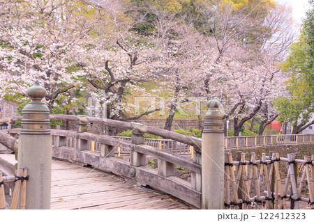音無親水公園のふなくしばしと桜 122412323
