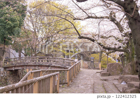 音無親水公園の桜 音無親水公園の桜 122412325