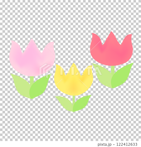 Tulip illustration 122412633