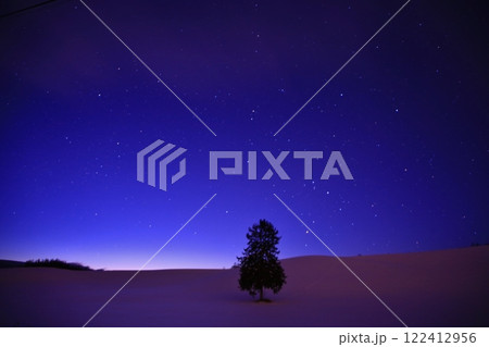 星空と春よ来いの木 122412956